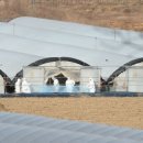 김용권농장 국민일보