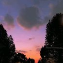 최소 하루1시간은 운동에 투자합시다 이미지