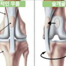 멍쓰홀릭 네이버블로그