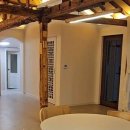 컴페니언 펫 이미지