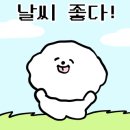 가평오즈펫리조트 이미지