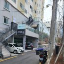 삼영일리아 이미지