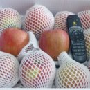 보성농원 이미지