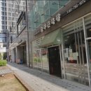 푸른강변 이미지