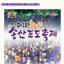 20115년 화성 송산 포도축제~~~궁평항에서 개최 이미지