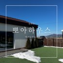 일동 | [숙소] 강화도 애견동반펜션 독채 뽀아하우스 일동 방문 후기