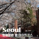 (주)소화 | 합정 망원 데이트 코스 I 서울 벚꽃 구경하기 좋은 곳, 합정역 벚꽃길 위치