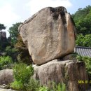 대자연횟집 이미지