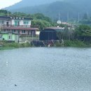 사랑방민박 이미지