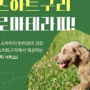 독스하트 구리 이미지