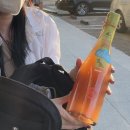 내추럴 와인 공룡 펫낫 '루나리아 말바시아 펫낫'
