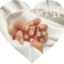 채꼬살롱