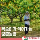 문희주농장 이미지