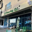 클림트(순지애견미용) | 내포애견미용 맛집 ‘쇼독’ 고집쎈 강아지 미용 후기