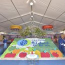 제15회 청송사과축제 이미지