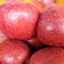 광용농장 이미지