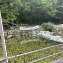 노들식당 이미지