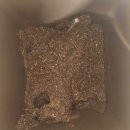 열린미생물농장 | 내돈내산] 이롭 더 그레블 가정용 대용량 미생물 소멸 방식 음식물처리기 사용 후기