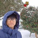 하이얀목장 이미지