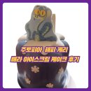 모찌아이스크림 | 주토피아 해피 게리 배라 모찌 아이스크림 케이크 솔직 후기