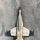 1/72 F/A-18C 호넷 100주년 기념 도장 (with SB2C-4 헬다이버) 이미지