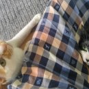 꼬맹이´S 이미지