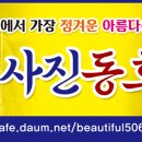 남이섬 크루즈 출사 결산서 이미지