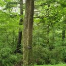 (주)누림 이미지