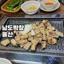 병영비어 | 남도막창 본점 병영막창골목 울산 출장식사, 여행식사로도 좋았던 거래처 사장님 단골집