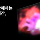 원앤온리 주식회사 이미지
