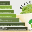 브로콜리 티스토리