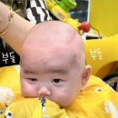 몽이미용실 | [3개월 아기] 대구 배냇머리 아기 미용실 '메쟝팡' 후기 (feat_빡빡이 복몽)👶🏻