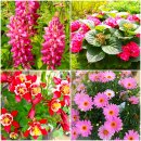 부천자연생태공원 이미지