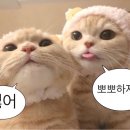 동아웰빙타운 이미지