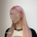 곰살살롱