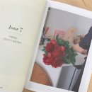 NR-13[공룡대로]-하-150 | 퇴사하고 여자 혼자 떠난 유럽여행, 아시아나 직항 후기, 한인민박 추천, 10유로 야경투어 후기