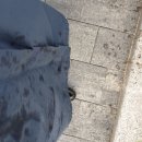 이필연치과의원 이미지