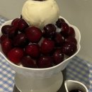 로로러버스 이미지