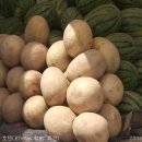 낙포주유소