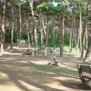 노을빛진산펜션 이미지