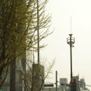 신사프라자약국 이미지