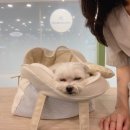 (주)프랑소와펫 이미지