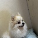 (주)천둥소리 이미지