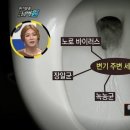 셈휴게소화장실 Daum카페