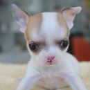 남문동물병원 이미지