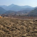 드림스포츠센터 티스토리