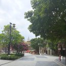 26470-01-21-360 | 푸꾸옥 빈원더스 + 그랜드월드 하루코스 후기 (워터파크, 아쿠아리움,인어쇼 자리, 그랜드월드 분수쇼...