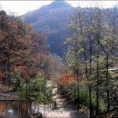 잠자는 숲속의 펜션 이미지