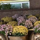 석주로(북) | &lt;오직 그녀의 것&gt;, 김혜진 + 북토크 후기