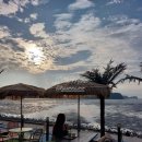 마루애견 이미지